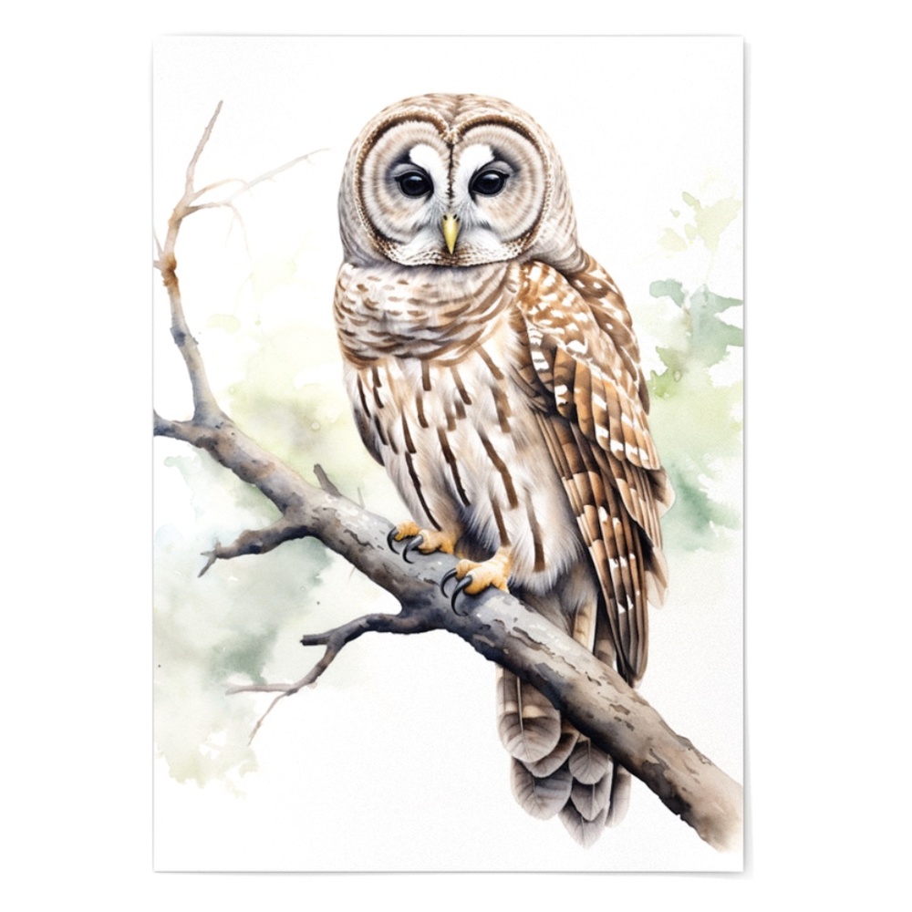 Watercolor Barred Owl Portrait Wall Art Illustration Print Poster Unframed - Picture 4 of 7
